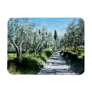 IMÁN OLIVOS EN RIMAGGIO TUSCANY