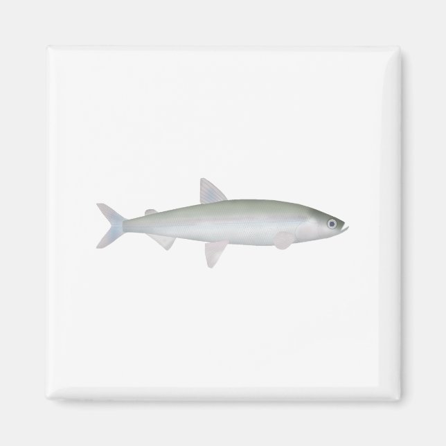 Imán Olor arcoiris (Frente)