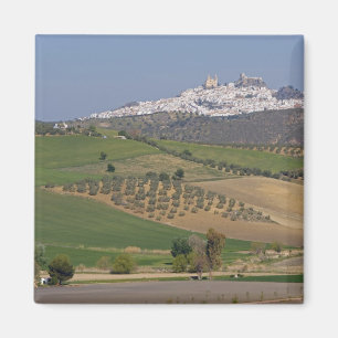 Imán Olvera, Andalucía, España