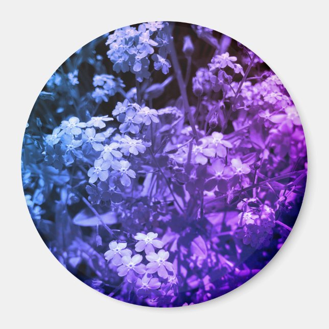 Imán olvídame no (Frente)