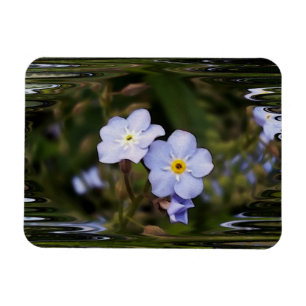 Imán Olvídate de las flores