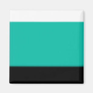 Imán Ombre verde azulado