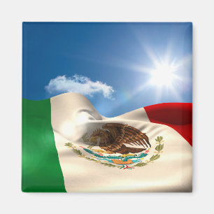 Imán Ondulación generada Digital de la bandera de