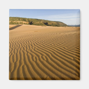 Imán Ondulaciones y dunas de arena en Coral Pink Sand 2