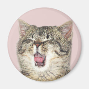 Imán Open articuló el gatito
