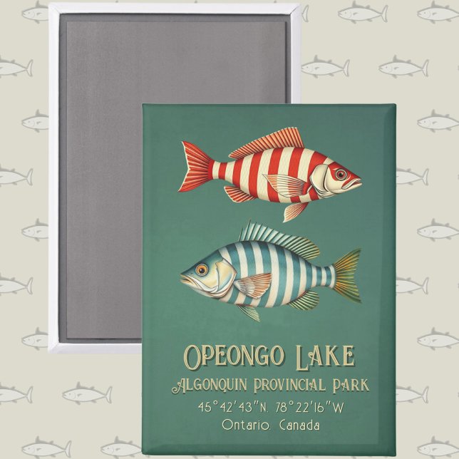 Imán Opeongo Lake Algonquin Provincial Park Ontario  (Subido por el creador)