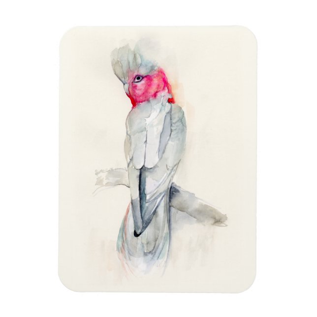 Imán Opera acuarela Cockatoo (Vertical)