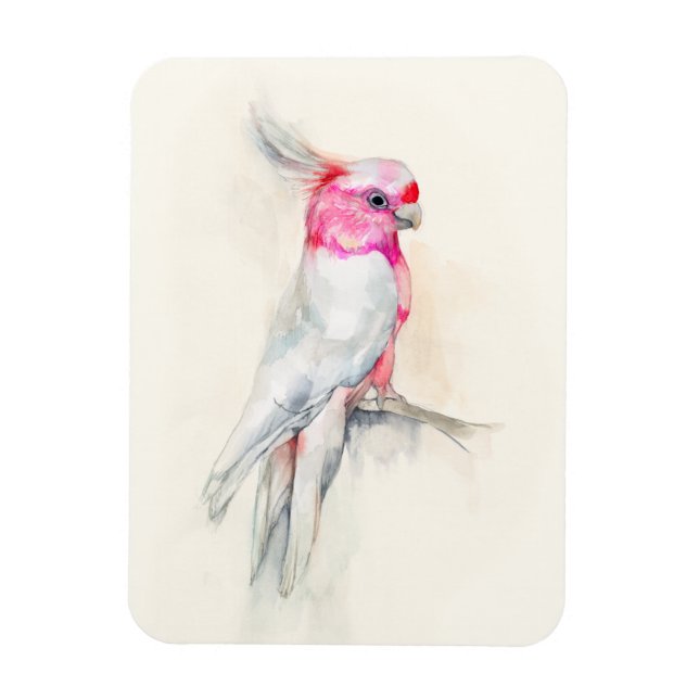Imán Ópera Cockatoo (Vertical)
