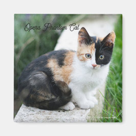 Imán Opera Phantom Cat