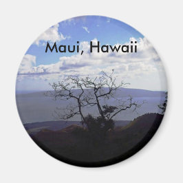 Imán Opiniones de Maui