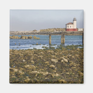 Imán OR, Costa de Oregón, Bandon, Río Coquille