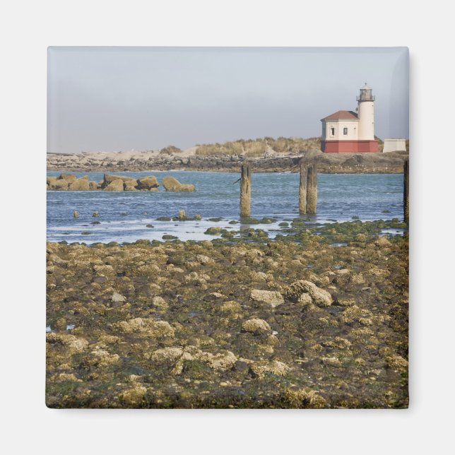 Imán OR, Costa de Oregón, Bandon, Río Coquille (Frente)