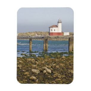 Imán OR, Costa de Oregón, Bandon, Río Coquille 2