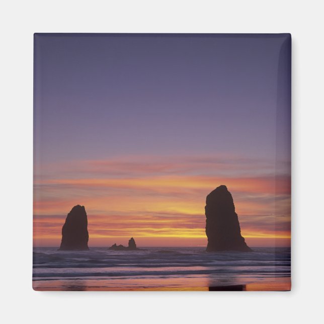 Imán OR, Costa de Oregón, Cannon Beach, pináculos de ro (Frente)