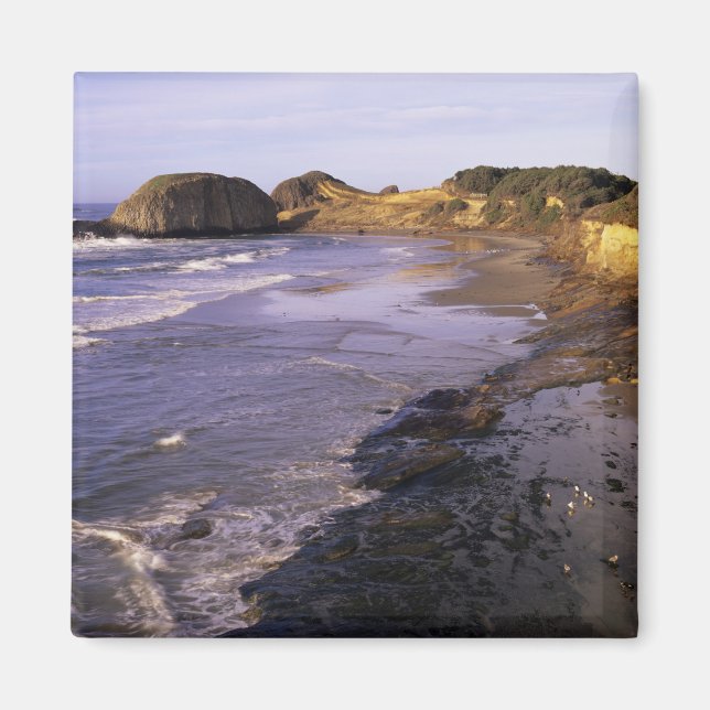 Imán OR, Costa de Oregón, Newport, costa de Seal (Frente)