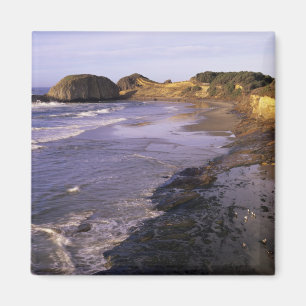 Imán OR, Costa de Oregón, Newport, costa en Seal