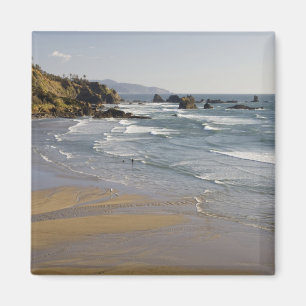 Imán OR, Costa de Oregón, Parque Estatal Ecola, India