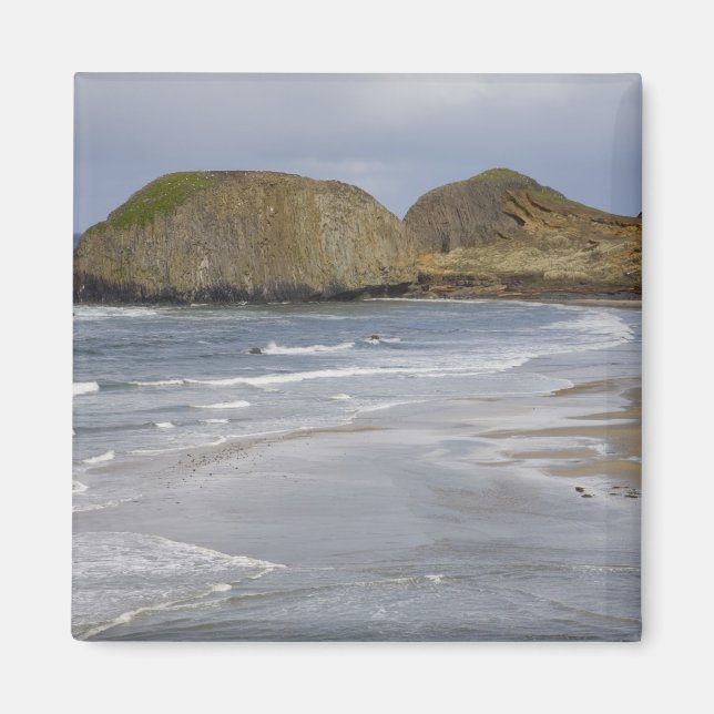 Imán OR, Costa de Oregón, Parque Estatal Seal Rock, (Frente)
