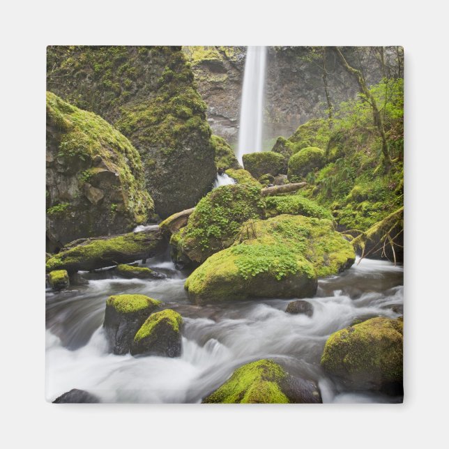 Imán OR, desfiladero del río Columbia, cataratas de Elo (Frente)