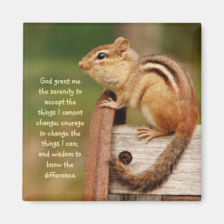 Imán Oración de Serenity Chipmunk Magnet