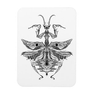 Imán Oración inspirada Mantis