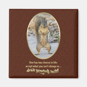 Imán Oración por la serenidad en pocas palabras