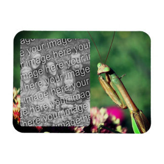 Imán Orando Marco Mantis Crea Tu Propia Foto