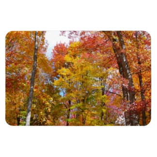 Imán Orange and Yellow Fall Trees Autumn Photography