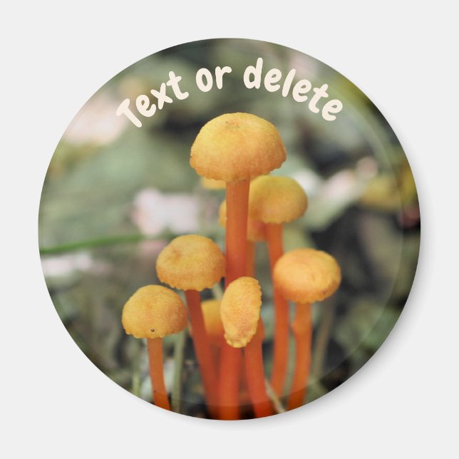 Imán Orange Mushrooms Nature Personalized (Frente)