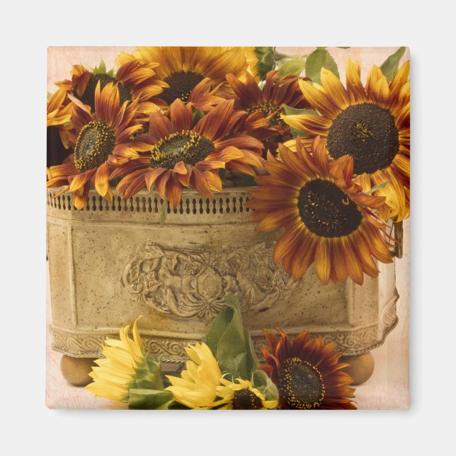 Imán Orange Sunflowers In Tin Basket (Frente)