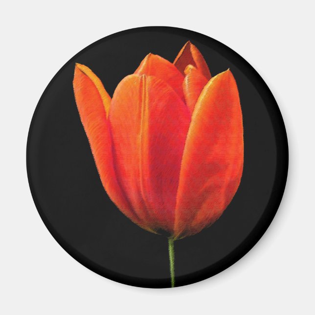 Imán OrangeTulip (Frente)
