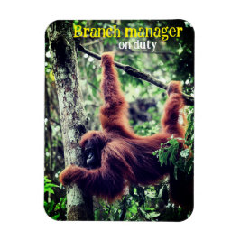 Imán Orangután colgando de un árbol