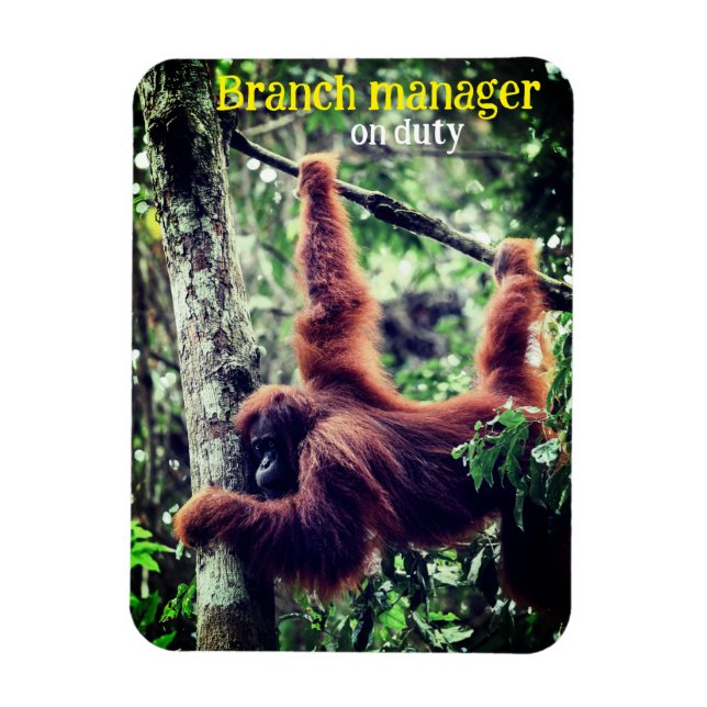 Imán Orangután colgando de un árbol (Vertical)