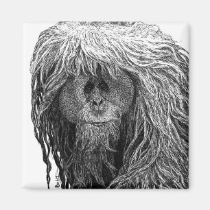 Imán Orangutan Magnet