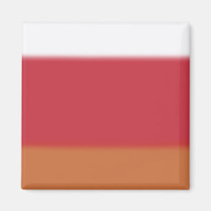 Imán Orangy Ombre