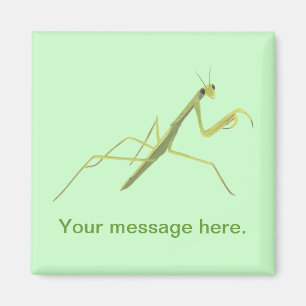 Imán Orar a Mantis Pintando Tus Palabras Magnetos