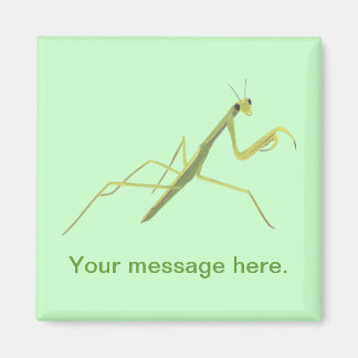 Imán Orar a Mantis Pintando Tus Palabras Magnetos