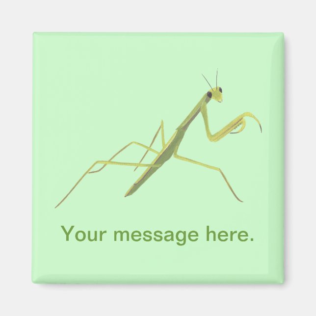 Imán Orar a Mantis Pintando Tus Palabras Magnetos (Frente)
