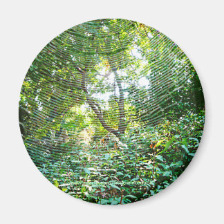 Imán Orb Spider Web - Magnet