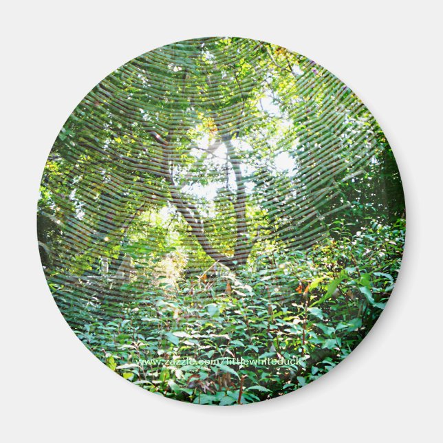 Imán Orb Spider Web - Magnet (Frente)