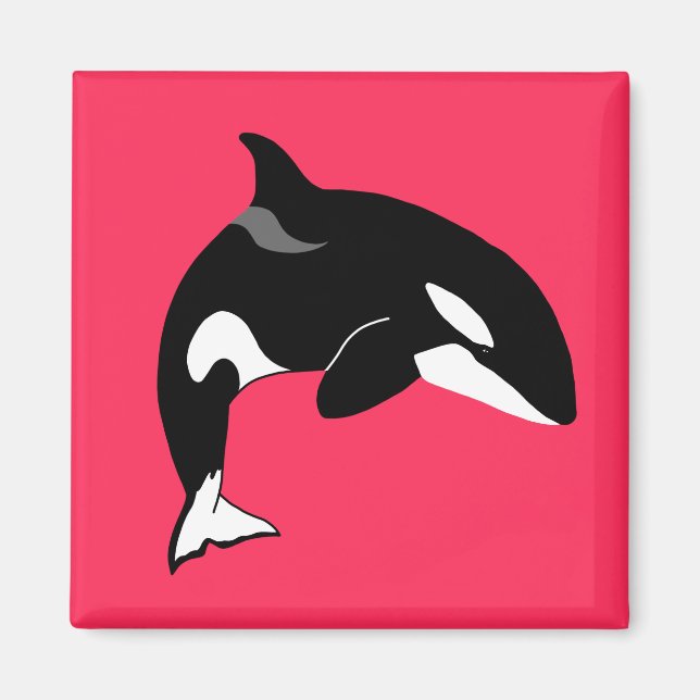 Imán Orca Ballena Asesina  (Frente)