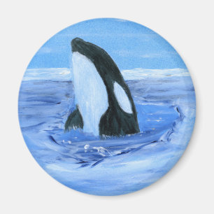 Imán Orca de la orca