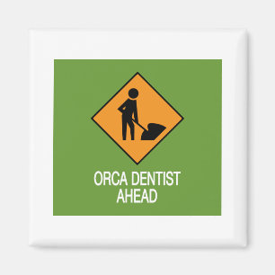 Imán Orca Dentist Ahead