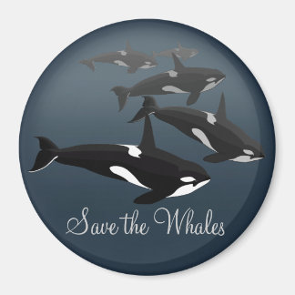 Imán Orca Fridge Magnet Personalizado Killer Whale Art 