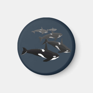 Imán Orca Whale Fridge Magnet Killer Whale Art Magnets
