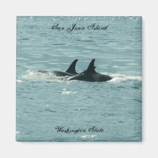 Imán ¡Orcas!
