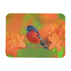 Imán Orchard Oriole Songbird Pintura original de aves