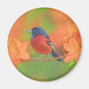 Imán Orchard Oriole Songbird Pintura original de aves