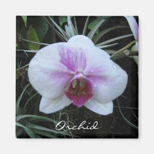 Imán Orchid Magnet