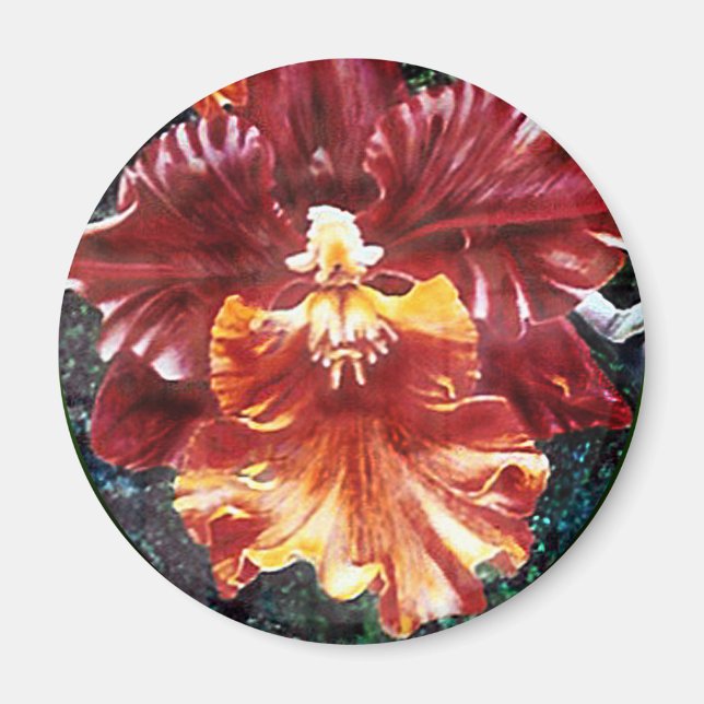 Imán Orchid Magnet (Frente)